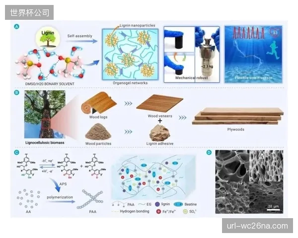 石化基材料将被全面清退，基于可降解生物基材料的运动装备将在未来五年内占据超过50%的市场份额